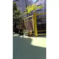あおい|立川市 錦町の朝・昼キャバ|Mandarin Club（朝・昼）(マンダリンクラブ（朝・昼）)