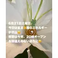 藤本 祐子ママ|長崎市 船大工町のスナック|咲耶(サクヤ)