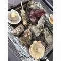 北乃 アリス|旭川市 4条通のニュークラブ|Four Season(フォーシーズン)