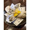 なぎ|鹿児島市 山之口町のスナック|ことり()
