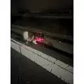 あいら|豊橋市 松葉町のキャバクラ|Club the Club(クラブザクラブ)