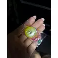 紬 ひい|札幌市 すすきののニュークラブ|P&J(ピーアンドジェイ)