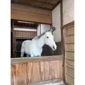 ミノリ|さいたま市 大宮区仲町のキャバクラ|ai(アイ)