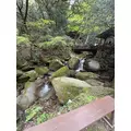 のぞみ|福岡市 博多区中洲のキャバクラ|SEA STYLE(シー スタイル)