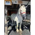 華宮 りりあ|札幌市 すすきののニュークラブ|FILLIA(フィリア)