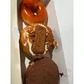 ほのか|海部郡 蟹江町錦のキャバクラ|carthago(カルタゴ)