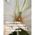 藤本 祐子ママ|長崎市 船大工町のスナック|咲耶(サクヤ)