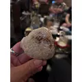 まいか|都城市 牟田町のキャバクラ|Jardin(ハルディン)
