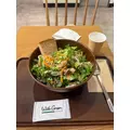 白咲 れな|福岡市 博多区中洲のキャバクラ|Cielo(シエロ)