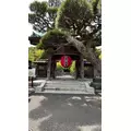 カレン|さいたま市 大宮区仲町のキャバクラ|ai(アイ)