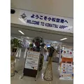 松田 千鶴|福岡市 博多区中洲のラウンジ|Members C(メンバーズシー)