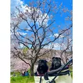 綾瀬 優|札幌市 中央区南のニュークラブ|Leicester(レスター)