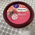 ちひろ|葛飾区 立石のスナック|グリーンパンサー()