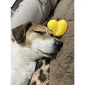 れお|那覇市 松山のキャバクラ|SEASIDE(オキナワシーサイド)