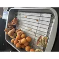 まる|宮崎市 中央通のコンカフェ|Candy Made(キャンディーメイド)