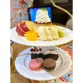 ユノ|小田原市 栄町のガールズバー|& Co.(アンドコー)