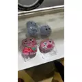 ツキ|長崎市 本石灰町のガールズバー|Paradox(パラドックス)