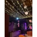 あおい|船橋市 本町のキャバクラ|Donfin(ドンフィン)