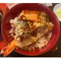 えれな|船橋市 本町のキャバクラ|Donfin(ドンフィン)