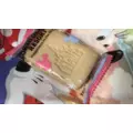 はづき|柏市 旭町のガールズバー|Meteor(ミーティア)