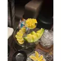 りか|彦根市 平田町のラウンジ|L'Atelier(アトリエ)