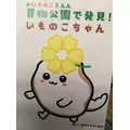 ひな|旭川市 3条通のラウンジ|Kirameki(キラメキ)