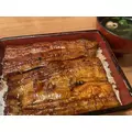 ゆな|立川市 錦町の朝・昼キャバ|Mandarin Club（朝・昼）(マンダリンクラブ（朝・昼）)