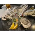 にこ|豊島区 東池袋のコンカフェ&ラウンジ|Hi-Potion(ハイポーション)