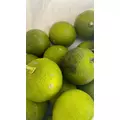 しほ|都城市 牟田町のキャバクラ|Jardin(ハルディン)