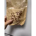 もも|船橋市 本町のキャバクラ|Donfin(ドンフィン)