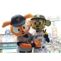 あき|渋谷区 宇田川町のキャバクラ|BABEL(バベル)