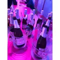 ラム|小田原市 栄町のガールズバー|& Co.(アンドコー)