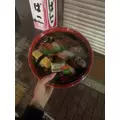 うみ|葛飾区 立石のガールズバー|Cerisier(セリシール)