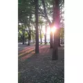 成海 まお|札幌市 すすきののニュークラブ|凛()