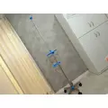 華宮 りりあ|札幌市 すすきののニュークラブ|Fillia(フィリア)