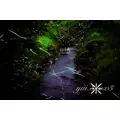 神崎 唯|富山市 桜木町のキャバクラ|美ら 富山(チュラ トヤマ)