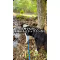 みこ|福岡市 博多区中洲のキャバクラ|ROYALE(ロワイヤル)