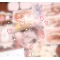 成海 まお|札幌市 すすきののニュークラブ|凛()