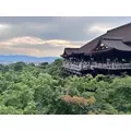 あおい|港区 赤坂のキャバクラ|THE CLUB AKASAKA(ザ クラブ アカサカ)