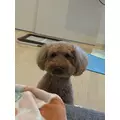美波 あいか|札幌市 すすきののニュークラブ|Fillia(フィリア)
