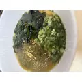かえで|長崎市 銅座町のガールズバー|G291(ジーニクイチ)