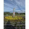 ミイ|さいたま市 大宮区仲町のキャバクラ|ai(アイ)