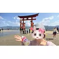 みくる|港区 芝のガールズバー|AFFINITY(アフィニティ)