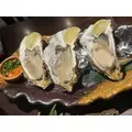 かえで|長崎市 銅座町のガールズバー|G291(ジーニクイチ)