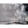 しずか|葛飾区 立石のスナック|グリーンパンサー()