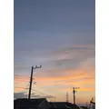 せいか|船橋市 本町のキャバクラ|Donfin(ドンフィン)