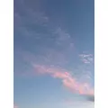美咲 のばら|札幌市 中央区南のニュークラブ|Leicester(レスター)