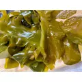 ルナ|海部郡 蟹江町錦のキャバクラ|carthago(カルタゴ)