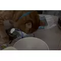 神永 莉聖|函館市 本町のニュークラブ|Loop(ループ)