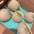 広瀬 あいり|札幌市 中央区南のニュークラブ|Leicester(レスター)